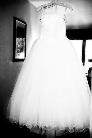The Preparations (5 of 119)
