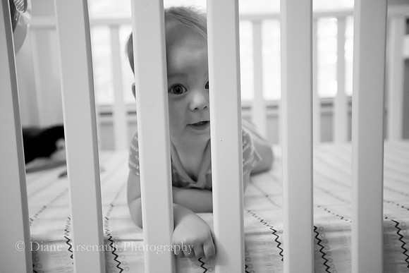 8 months -004