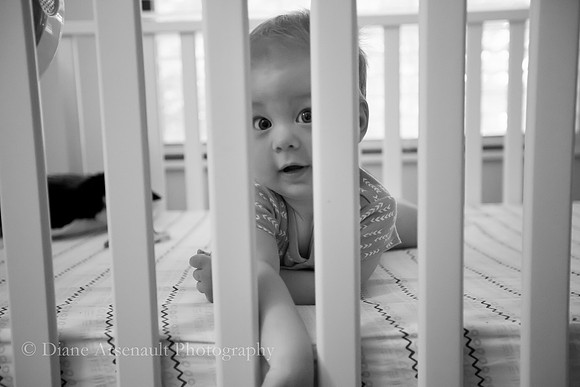 8 months -003