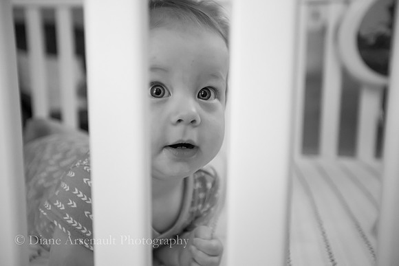 8 months -005
