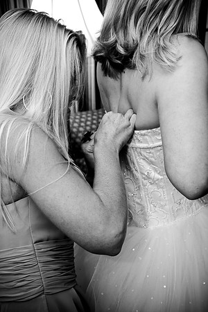 The Preparations (74 of 119)