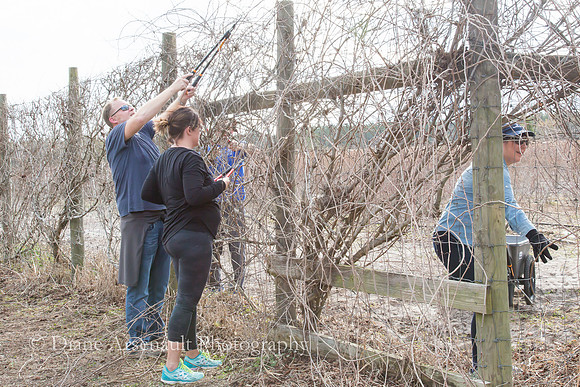 WM Newell Brands Day of Caring 2018 Email Social Media-089