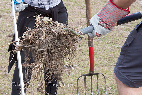 WM Newell Brands Day of Caring 2018 Email Social Media-101