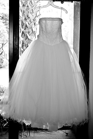 The Preparations (6 of 119)