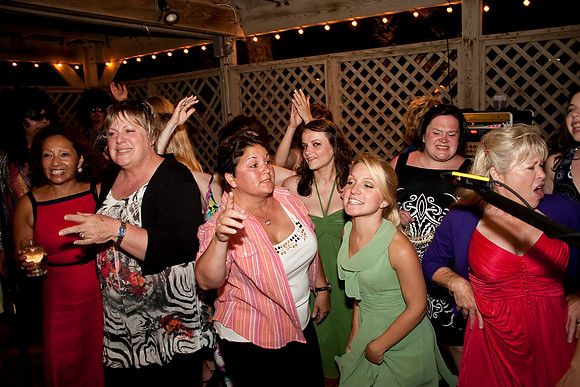 Reception (231 of 266)