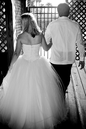 Reception (39 of 266)